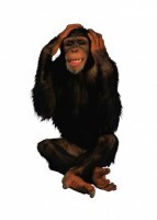 Комплект карточек "Запоминай, играй, считай" - Дикие животные - fgospostavki.ru - Белово