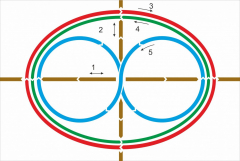 Стенд "Тренажер для глаз" - fgospostavki.ru - Белово