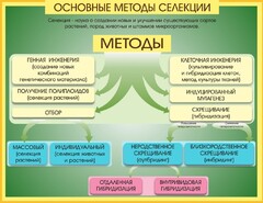 Стенд "Методы селекции и биотехнологии" - fgospostavki.ru - Белово
