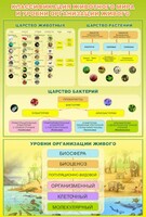 Стенд "Классификация животного мира" - fgospostavki.ru - Белово