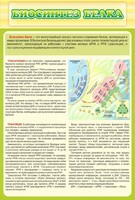 Стенд "Биосинтез белка" - fgospostavki.ru - Белово