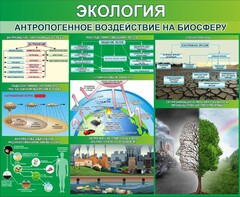 Стенд "Экология. Антропогенное воздействие на биосферу" - fgospostavki.ru - Белово