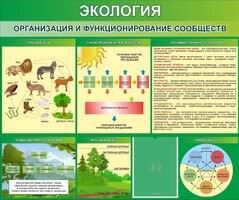 Стенд "Экология. Организация и функционирование сообществ" - fgospostavki.ru - Белово