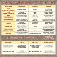 Стенд "Самостоятельные части речи" Вариант 2 - fgospostavki.ru - Белово