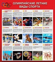 Стенд "Олимпийские летние виды спорта" - fgospostavki.ru - Белово