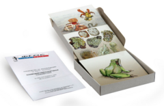 Модель-аппликация "Взаимодействия в природных сообществах" (набор из 23 карт) - fgospostavki.ru - Белово