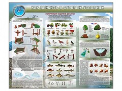 Стенд "Как выжить в суровых условиях" - fgospostavki.ru - Белово