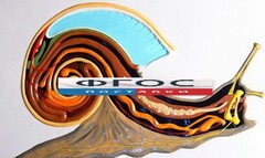 Модель барельефная "Внутреннее строение брюхоногого моллюска" - fgospostavki.ru - Белово