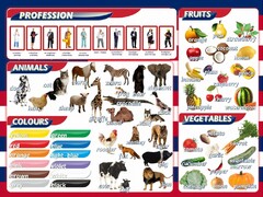 Стенд "Цвета, животные, профессии, фрукты, овощи" - fgospostavki.ru - Белово