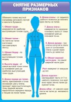 Стенд "Снятие мерок" Вариант 2 - fgospostavki.ru - Белово