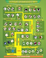 Стенд "Многообразие органического мира" - fgospostavki.ru - Белово