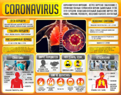 Плакат "Коронавирус" (вариант 2) - fgospostavki.ru - Белово