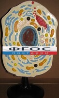Модель "Клетка животного" - fgospostavki.ru - Белово