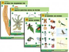 Биология - fgospostavki.ru - Белово