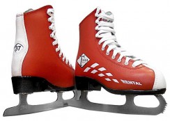 Зимний инвентарь - fgospostavki.ru - Белово