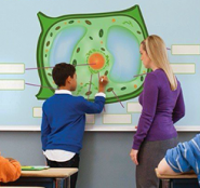 Интерактивное оборудование - fgospostavki.ru - Белово