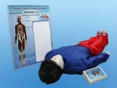 Тренажеры-манекены - fgospostavki.ru - Белово