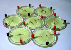 Демонстрационный комплект «Силовые линии электрического поля разных систем зарядов» - fgospostavki.ru - Белово