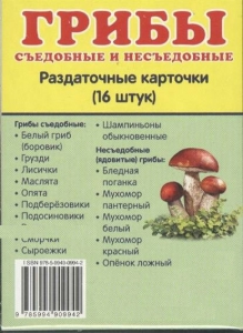 Раздаточные карточки "Грибы съедобные и не съедобные" - fgospostavki.ru - Белово