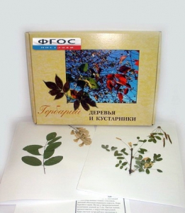 Гербарий "Деревья и кустарники" (20 видов) - fgospostavki.ru - Белово