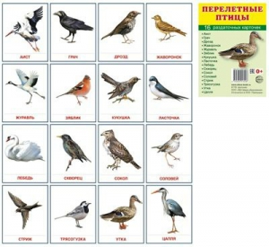 Раздаточные карточки "Перелетные птицы" - fgospostavki.ru - Белово