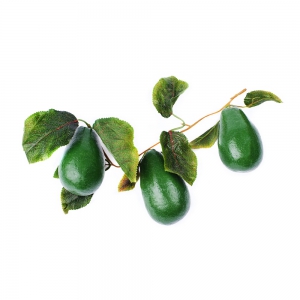 Ветка муляжей "Авокадо" - fgospostavki.ru - Белово