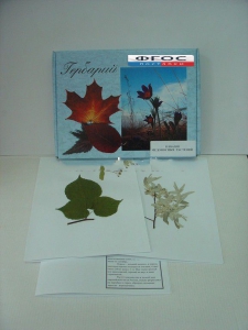 Гербарий "Медоносные растения" (24 вида) - fgospostavki.ru - Белово