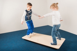 Балансировочная доска - fgospostavki.ru - Белово