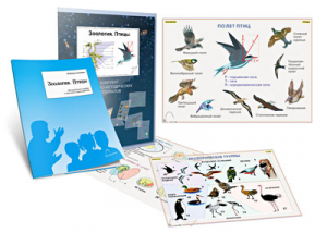 Комплект кодотранспарантов "Зоология. Птицы" - fgospostavki.ru - Белово