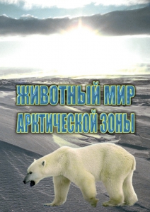 DVD "Животный мир Арктической зоны" - fgospostavki.ru - Белово