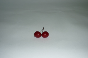 Муляж "Вишня" - fgospostavki.ru - Белово