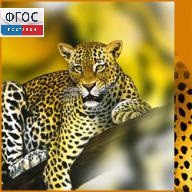 Зоология. (Цифровая база изображений) - fgospostavki.ru - Белово