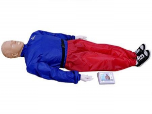 "Александр-04" тренажер-манекен взрослого пострадавшего для отработки приемов сердечно-легочной реанимации (голова, туловище, конечности) с контроллером - fgospostavki.ru - Белово