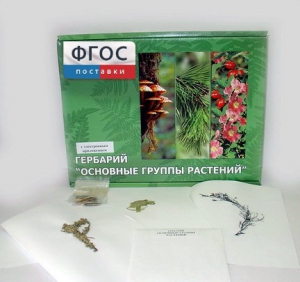 Гербарий "Основные группы растений" (52 листа) - fgospostavki.ru - Белово