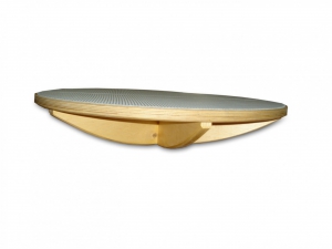 Балансир детский (круг) - fgospostavki.ru - Белово