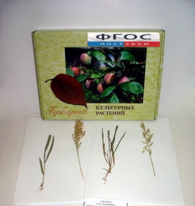 Гербарий "Культурные растения" (28 видов) - fgospostavki.ru - Белово