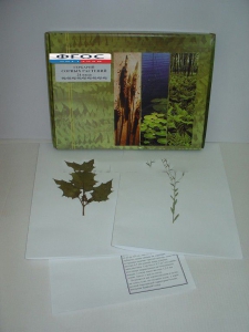 Гербарий "Сорные растения" (24 вида) - fgospostavki.ru - Белово