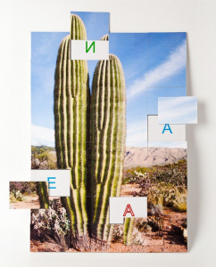 Магнитная орфография (безударные гласные, 1 класс) "Кактус" - fgospostavki.ru - Белово