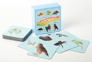 Набор магнитных карточек "Устный счет" (фон голубой) - fgospostavki.ru - Белово