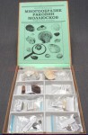 Коллекция "Многообразие раковин моллюсков" - fgospostavki.ru - Белово