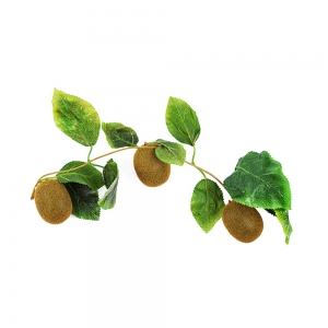 Ветка муляжей "Киви" - fgospostavki.ru - Белово