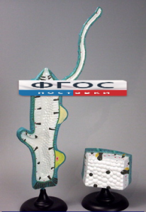 Модель "Гидра" - fgospostavki.ru - Белово