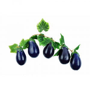 Ветка муляжей "Баклажаны" - fgospostavki.ru - Белово