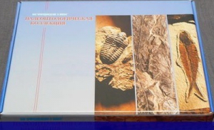 Коллекция "Палеонтологическая" (16 образцов) - fgospostavki.ru - Белово