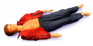 Робот-тренажер «Глаша» - fgospostavki.ru - Белово