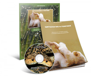 Электронное наглядное пособие «Цитология и генетика» - fgospostavki.ru - Белово