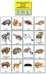 Раздаточные карточки "Дикие животные (1)" - fgospostavki.ru - Белово