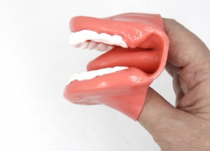 Муляж рта (мини) - fgospostavki.ru - Белово