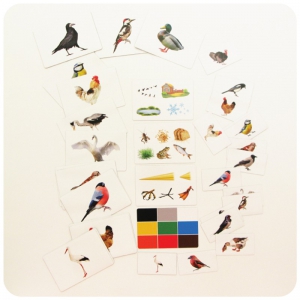 Набор магнитных карточек "Загадки-отрицания". Птицы - fgospostavki.ru - Белово