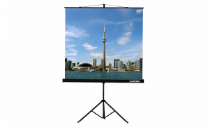 Проекционный экран на штативе Lumien Eco View (LEV-100105) 160x160 см - fgospostavki.ru - Белово